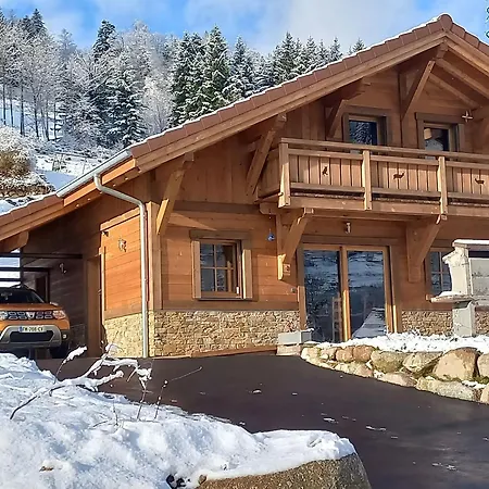 Au Cœur Des Vosges Avec Sauna, Terrasse Et Connexion Wifi - Fr-1-589-692